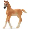 Image de Figurine Poulain Arabe / Horse club Schleich-13984