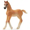 Image de Figurine Poulain Arabe
