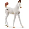 Image de Poulain Marwari Schleich-14896