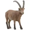 Image de Figurine Wild Life : Bouquetin Schleich-14873
