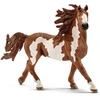 Image de Figurine cheval : Etalon Pinto Schleich-13794
