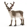 Image de Renne Schleich-14837