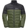 Image de Doudoune Jack Wolfskin Dna Tundra Down M 1206622_4129 Vert M