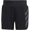 Image de Short adidas Terrex Agravic Trail HT9395 Noir XL 5"
