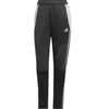 Image de Pantalon de survêtement femme adidas Tiro24 Winterized Noir S IX7887
