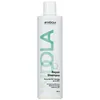 Image de Shampooing Réparateur Innova Réparation Indola 300ml
