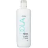 Image de Shampooing Purifiant Innova Cuir Chevelu Indola 1000ml