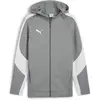 Image de Veste de survêtement à capuche Puma TeamEvostripe Gris XL 659947-33