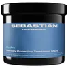 Image de Masque Hydre Sebastian 500ml