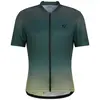 Image de Maillot Ziener Nelete 431005-338 Jaune 50
