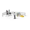 Image de Kit de voltige de Kim Schleich-42799