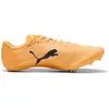 Image de Chaussures d'athlétisme Puma 312969-01 Noir 37