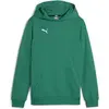 Image de Sweatshirt à capuche enfant Puma Team Goal Vert 10 ans 658619-05