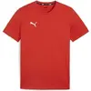 Image de T-shirt Puma Team Goal Rouge M 658615-01