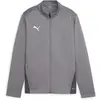 Image de Veste de survêtement enfant Puma TeamGoal Gris 6 ans 658634-13