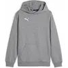 Image de Sweatshirt à capuche enfant Puma teamGoal Gris 14 ans 658619-33