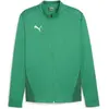 Image de Veste de survêtement Puma TeamGoal Vert M 658633-05