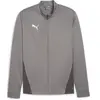 Image de Veste de survêtement Puma TeamGoal Gris S 658633-13