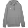 Image de Sweatshirt à capuche Puma Teamgoal Casuals Gris 3XL 658618-33