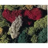 Image de Modélisme : Végétation : Lichen 5 couleurs Faller-170730
