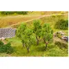Image de Modélisme HO : Assortiment de 4 arbres Faller-F181378