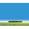 Image de Modélisme : Végétation : 3 haies à fleurs jaunes Faller-181399
