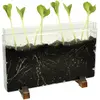 Image de Racine/ferme pour vers Eduplay-150083