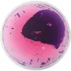 Image de Support de fascination rond, set de 5 Eduplay-110374