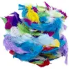 Image de Plumes à coller, env. 20 g Eduplay-370149