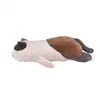 Image de Peluche nemu nemu - YUZU - Chat Tricolore - Taille L - 50 cm Trousselier-J60 40