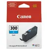 Image de Canon PFI-300C