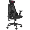 Image de ASUS ROG Destrier Core (Noir)