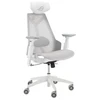 Image de ASUS ROG Destrier Core (Blanc)