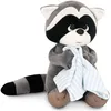 Image de Raton laveur avec serviette Denny (20 cm assis)