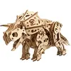 Image de Maquette en bois : Triceratops Ugears-8412182