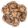 Image de Flexi-Cube