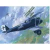 Image de Pfalz D.IIIA 1070015