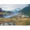 Image de Pilatus PC-6C/H-2 Turbo-Porter 1070440