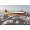 Image de Bristol 175 Britannia Monarch Airlines 1070323