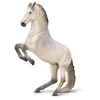 Image de Figurine Étalon Lipizzaner - XL Collecta-3380051