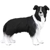 Image de Chien Border Collie Collecta-COL88010