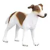 Image de Chien Lévrier Greyhound - Bébé Collecta-COL88188