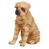 Image de Chien Sharpei Collecta-COL88193