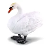 Image de Figurine cygne Collecta-COL88211