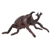 Image de Insecte - Scarabee nasicorne Collecta-COL88337