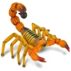 Image de Figurine Insecte : Androctonus (Scorpion) Collecta-COL88349