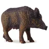 Image de Sanglier - Femelle Collecta-COL88364