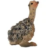 Image de Figurine Autruche : Bébé assis Collecta-COL88460