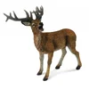 Image de Figurine Cerf élaphe Collecta-COL88469