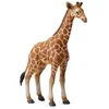 Image de Figurine Figurine bébé girafe Collecta-COL88535